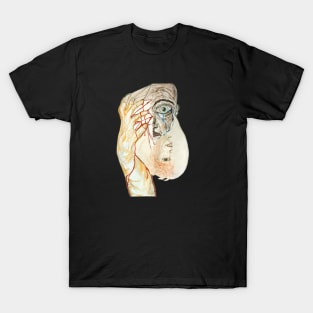 In Sight T-Shirt